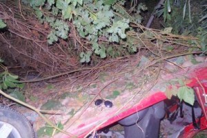 Manhumirim: acidente com vítima fatal na MG 111. Motorista fugiu