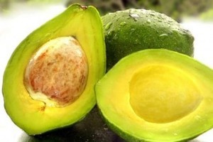 Vida e Saúde: abacate previne doenças cardiovasculares e controla o colesterol