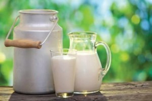 Vida e Saúde: diferentes tipos de leite. Escolha o melhor para você