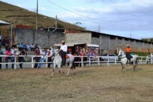 Manhuaçu: Exposição Mangalarga marchador movimenta os amantes de equinos
