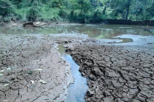 Espera Feliz: Seca faz município decretar “Situação de Emergência”