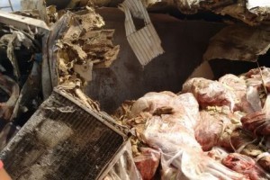 Santa Rita de Minas: Caminhão carregado com 12 toneladas de carne tomba na BR 116