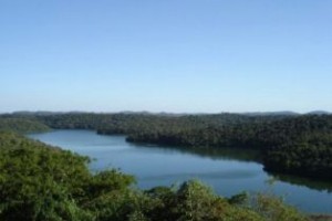 Aimorés: Comitês da Bacia do Rio Doce e Instituto Terra discutem recuperação de nascentes