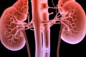 Vida e Saúde: Teste de urina pode prever insuficiência renal grave