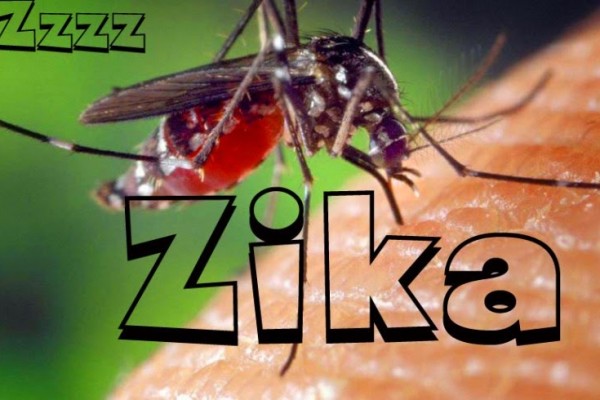 zika.jpg