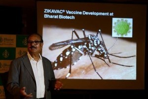 Vida e Saúde: EUA registram primeiro caso de transmissão sexual de zika vírus