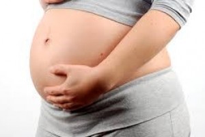Vida e Saúde: Bactérias do intestino da mãe estimulam sistema de defesa do feto