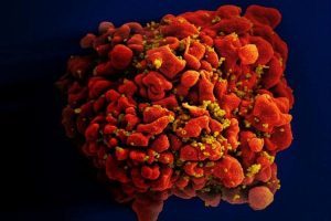 Cresce resistência do vírus HIV aos medicamentos