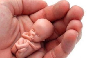 STF retoma hoje debates sobre descriminalização do aborto