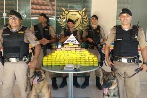 PM localiza 94 tabletes (61 quilos) de maconha em Manhuaçu
