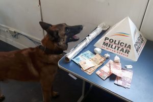 Manhuaçu: Cão farejador da PM localiza droga dentro de ventilador