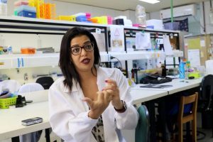 Ômega-3 reduz morte de neurônios pelo vírus Zika, diz pesquisa