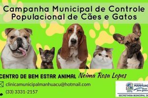 Prefeitura inicia esterilização de cães e gatos nesta quinta-feira