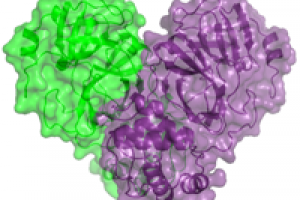 Pesquisadores estudam proteínas do Sars-CoV2 no laboratório Sirius