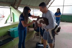 Vacinação contra raiva em cães e gatos inicia em Manhuaçu