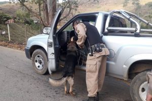 Operação com cães é realizada pela PMR nas estradas da região
