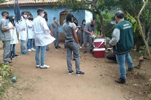 Manhuaçu: Suspeita de Leishmaniose mobiliza clínica veterinária municipal