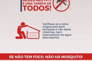 Cuidados que ajudam no combate ao Aedes aegypti