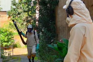 Manhuaçu: Petrina receberá inseticida contra mosquito da Dengue
