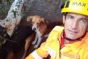 Luisburgo: Bombeiros resgatem 3 cães presos em mata