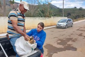 Vacinação de cães e gatos continua em Manhuaçu