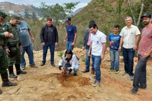 21 de setembro: Árvores são plantadas em Manhuaçu