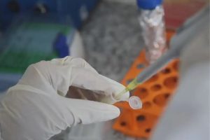 Boa Notícia: Será testada vacina contra crack e cocaína feita pela UFMG