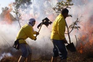 Minas Gerais investe em planejamento de combate a incêndios