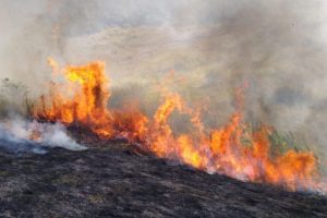 Incêndio atinge vegetação próximo a Vila Boa Esperança