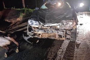 Mutum: Idosa morre em colisão de automóvel com bovinos
