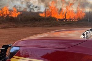 Onda de calor: Bombeiros estão preparados para possível aumento de incêndios em vegetação