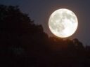 Agosto terá dois eclipses; saiba como assistir aos fenômenos